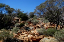 Environmental_home_thumbnail.JPG