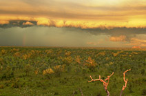 banner_02thumb.jpg